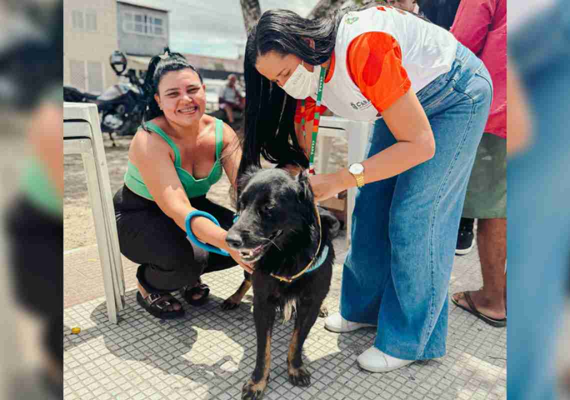 Giro Pet Ceará leva serviços gratuitos de saúde animal à Cidade 2000 neste fim de semana